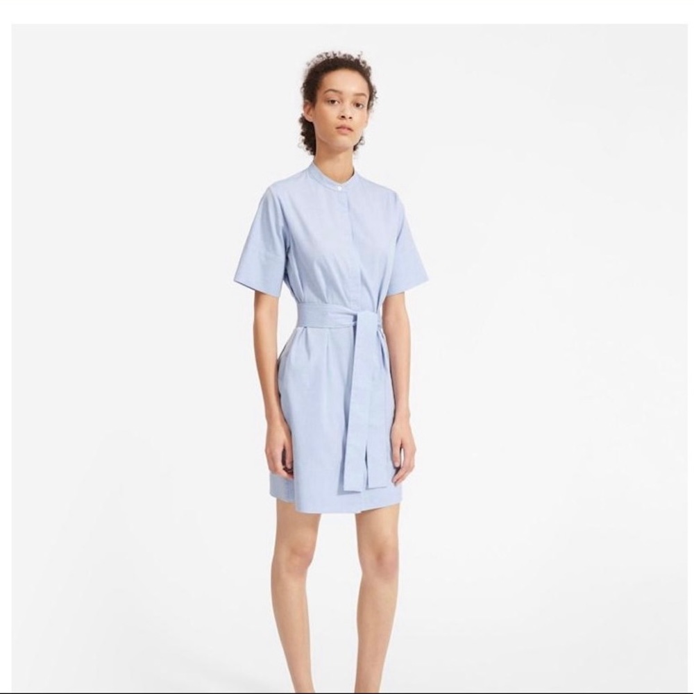 Everlane Shirtdress